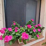 Lucky House